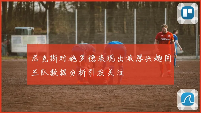 尼克斯对施罗德表现出浓厚兴趣国王队数据分析引发关注