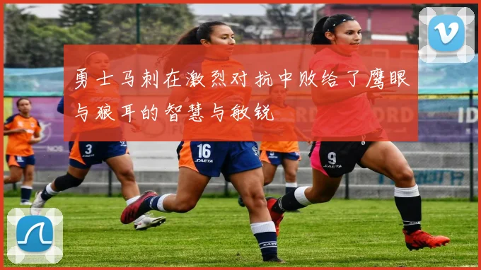 勇士马刺在激烈对抗中败给了鹰眼与狼耳的智慧与敏锐